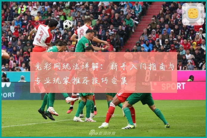 竞彩网玩法详解：新手入门指南与专业玩家推荐技巧合集