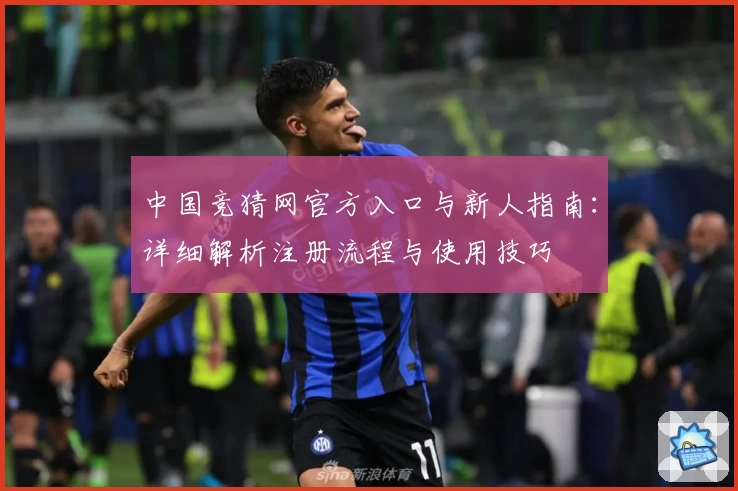中国竞猜网官方入口与新人指南：详细解析注册流程与使用技巧