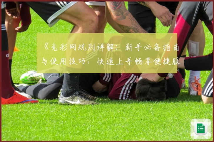 《竞彩网规则详解：新手必备指南与使用技巧，快速上手畅享便捷服务》