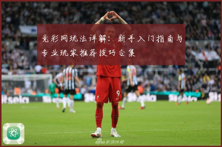 竞彩网玩法详解:新手入门指南与专业玩家推荐技巧合集